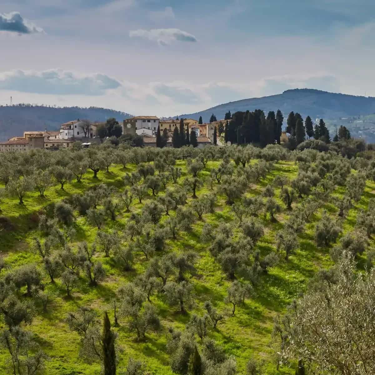 Carmignano DOCG: structure and tradition for a great Tuscan red