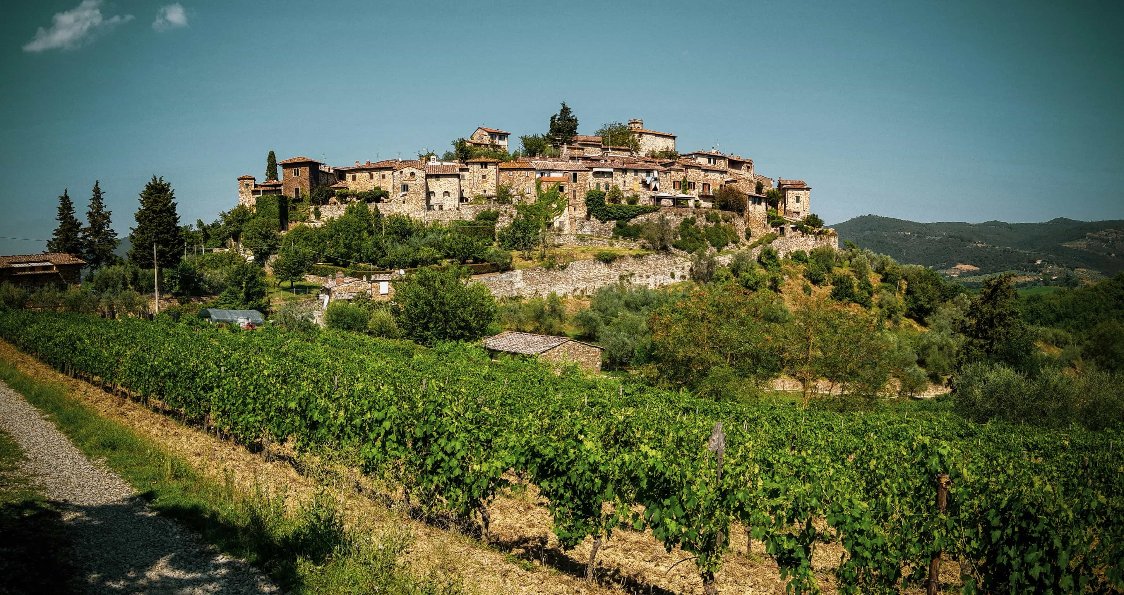 Chianti Classico DOCG: Differences, Quality, and Characteristics Compared to Chianti DOCG